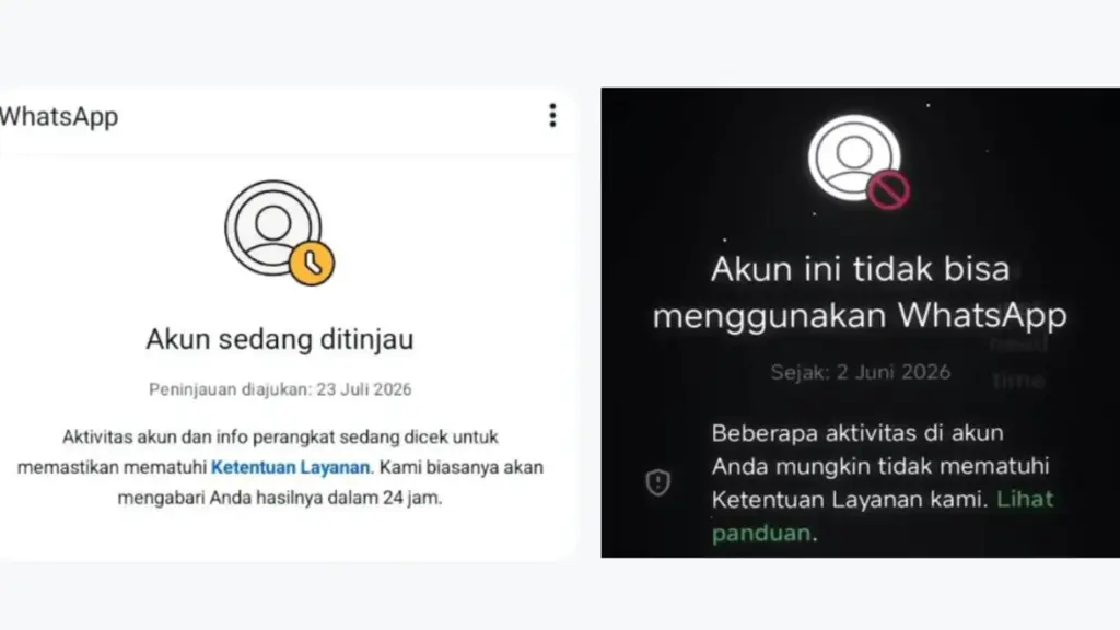 Alasan Kenapa WA Tidak Bisa Dibuka