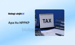 Apa Itu NPPKP (Nomor Pengukuhan Pengusaha Kena Pajak)