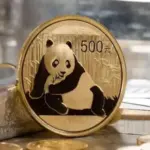 Apa Itu Panda Bond