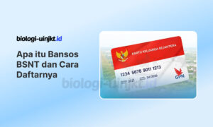 Apa itu Bansos BSNT 2026: Cara Daftar, Syarat dan Skema