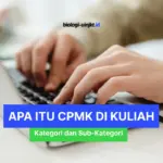 Apa itu CPMK dan Penjelasan Kategori