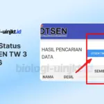 Arti DTSEN TW 3 2026 Pada Laman Cek Bansos Kemensos