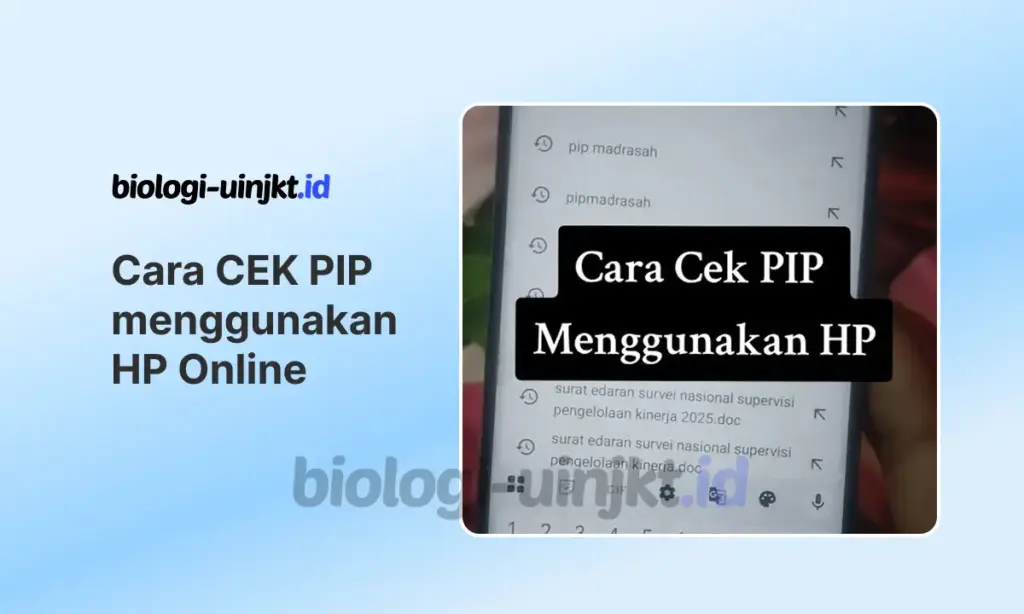 Cara CEK PIP menggunakan HP Online