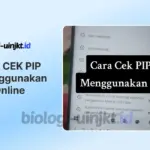 Cara Cek PIP Lewat HP di pip kemendikdasmen go id