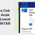 Cara Cek PIP Anak SD 2026 Lewat HP di Portal Sipintar