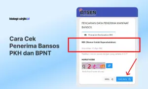 Cara Cek Penerima Bansos PKH dan BPNT Juli 2026 dari Kemensos