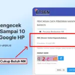 Cara Mengecek Desil 1 Sampai 10 Lewat Google HP