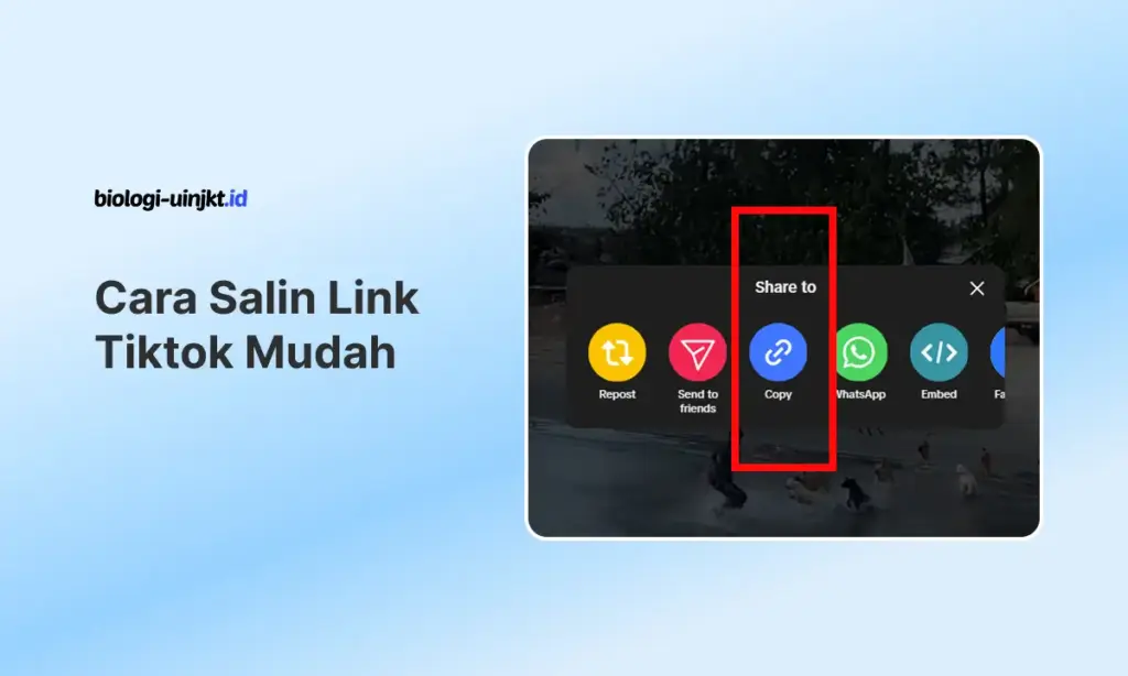 Cara Salin Link Tiktok Mudah