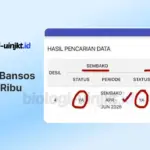 Cara Cek Bansos 600 Ribu dengan KTP Terbaru 2026