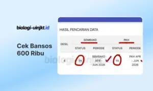 Cara Cek Bansos 600 Ribu dengan KTP Terbaru 2026