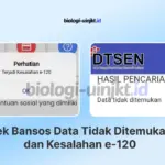 Solusi Cek Bansos Data Tidak Ditemukan dan Kesalahan e-120