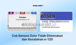 Solusi Cek Bansos Data Tidak Ditemukan dan Kesalahan e-120