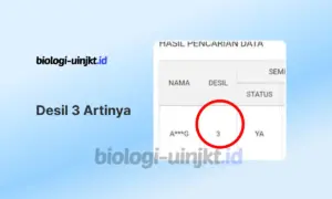 Desil 3 Artinya dan Cek Dapat Bantuan Sosial Apa