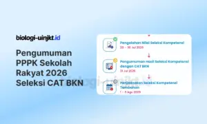 Cek Pengumuman PPPK Sekolah Rakyat 2026 Seleksi Kompetensi CAT BKN