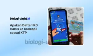 Apakah Daftar IKD Harus ke Dukcapil sesuai KTP