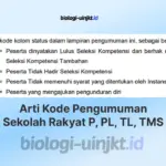 Arti Kode Pengumuman Sekolah Rakyat 2026 P, PL, TL, TMS