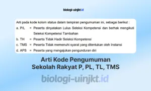 Arti Kode Pengumuman Sekolah Rakyat 2026 P, PL, TL, TMS