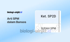 Arti SPM dalam Bansos dan Alur Pencairannya