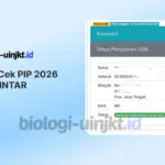 Cara Cek PIP 2026 di SIPINTAR Lewat HP dan Atasi Error 502