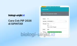 Cara Cek PIP 2026 di SIPINTAR Lewat HP dan Atasi Error 502