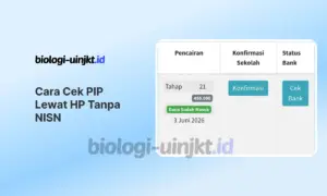Apakah Bisa Cara Cek PIP Lewat HP Tanpa NISN? Cek Solusinya