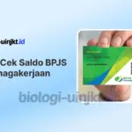 Cara Cek Saldo BPJS Ketenagakerjaan Lewat Aplikasi JMO Tanpa Perlu Antre
