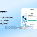Cara Cek Status Pantau Loker dan MagangHub Tracker Terbaru