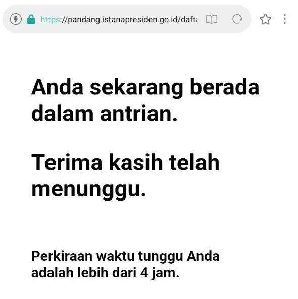 Contoh Antrian War Tiket Pandang Istana Presiden
