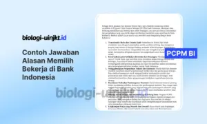 Contoh Alasan Memilih Bank Indonesia Seleksi PCPM BI