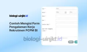 Contoh Mengisi Form Pengalaman Kerja Rekrutmen PCPM BI 2026