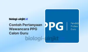 Contoh Pertanyaan Wawancara PPG Prajabatan (Calon Guru)