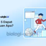 Desil 5 Dapat Bantuan Apa? Cek Peluang dan Jenis Bansos