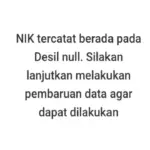 Desil NULL Artinya Apa Saat Cek Bansos? Ini Penjelasan Lengkap