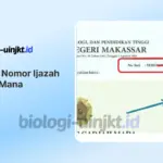 Letak Nomor Ijazah yang Mana? Cek Untuk Daftar PCPM BI dan CPNS