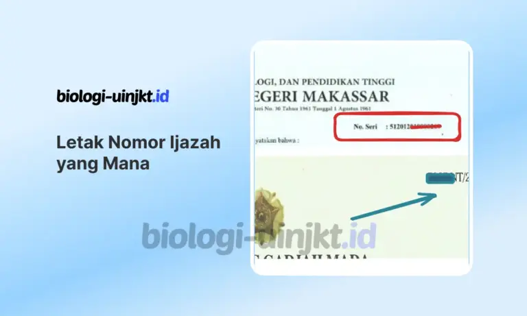 Letak Nomor Ijazah yang Mana? Cek Untuk Daftar PCPM BI dan CPNS