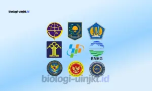 Berkas Pendaftaran Sekolah Kedinasan 2026 di Laman SSCASN BKN
