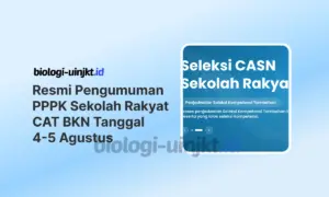 Pengumuman PPPK Sekolah Rakyat CAT BKN Resmi Tanggal 4-5 Agustus 2026