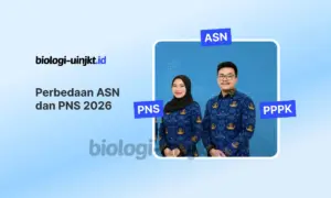 Rincian Perbedaan ASN dan PNS 2026, Baca Sebelum Daftar