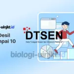 Arti Desil 1 Sampai 10 DTSEN Bansos