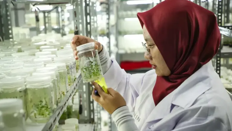 Pemerintah Garansi Anggaran Riset 2027 Tidak Berkurang, Komisi X DPR Minta Tambahan